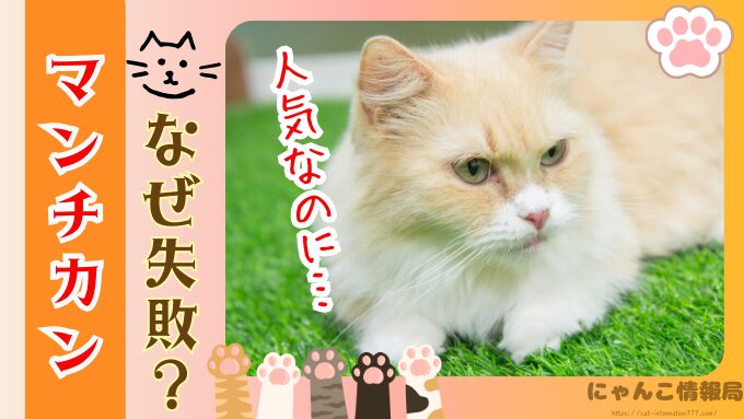 マンチカン　失敗　言われる理由　かわいそう　ヤバい交配方法　販売