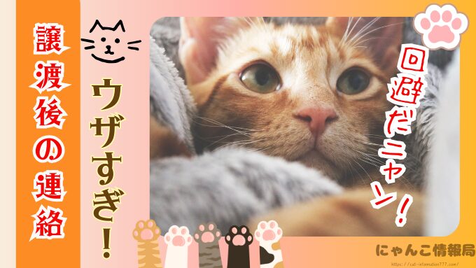 猫の里親になった後の連絡　うざい　しつこい　電話　トラブル　回避方法