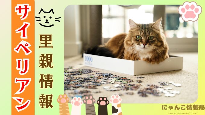 サイベリアン　里親募集　保護猫　売れ残りの猫　引き取る