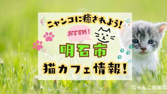 明石　猫カフェ　おすすめ　基本ルール　料金　安い　兵庫