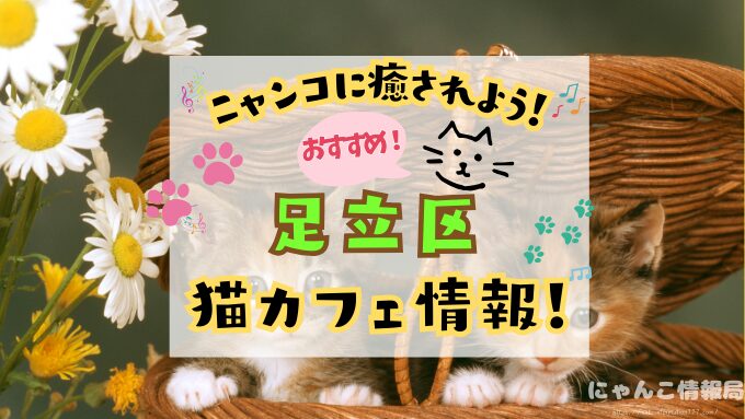 足立区　猫カフェ　おすすめ　基本ルール　料金　安い　東京