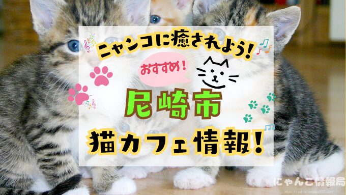 尼崎 猫カフェ おすすめ 基本ルール 料金 安い 兵庫