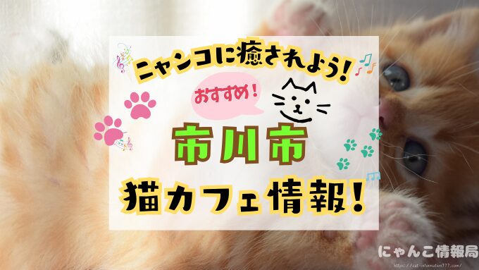 市川 猫カフェ おすすめ 基本ルール 料金 安い 千葉