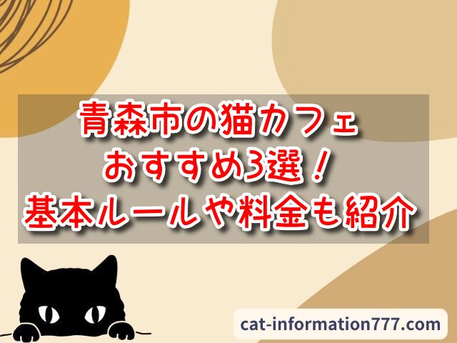 青森市　猫カフェ　おすすめ　基本ルール　料金
