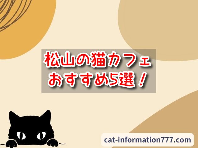 松山市 猫カフェ おすすめ 基本ルール 料金 愛媛県