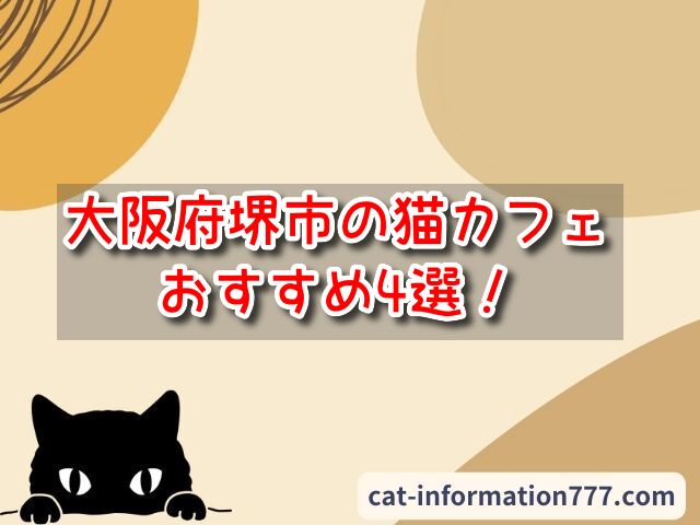 堺市　猫カフェ　おすすめ　基本ルール　料金　大阪