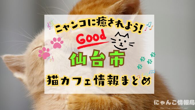 仙台市　猫カフェ